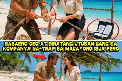 Hinarap ang Bagsik ng Kalikasan: Ang Hindi Inaasahang Kwento ng Isang Makapangyarihang CEO at ng Kanyang Empleyado sa Isang Isla