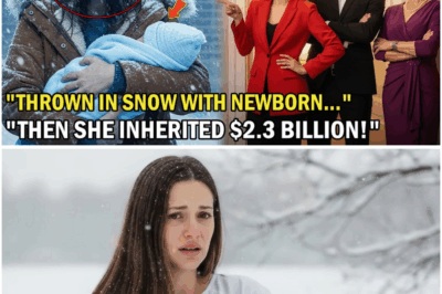 Hindi Alam ng Asawa at mga Biyenan Na Namanahan Siya ng Bilyong Dolyar—Kaya Itinapon Siya ng Biyenan at Kabit sa Kalye