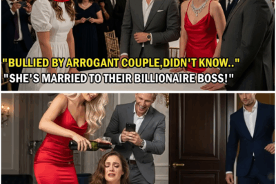 Mayabang na Mag-Asawa, Inagaw ang Upuan ng Simpleng Babae sa Party—Nagulat Nang Malaman Kung Sino ang Asawa Nito